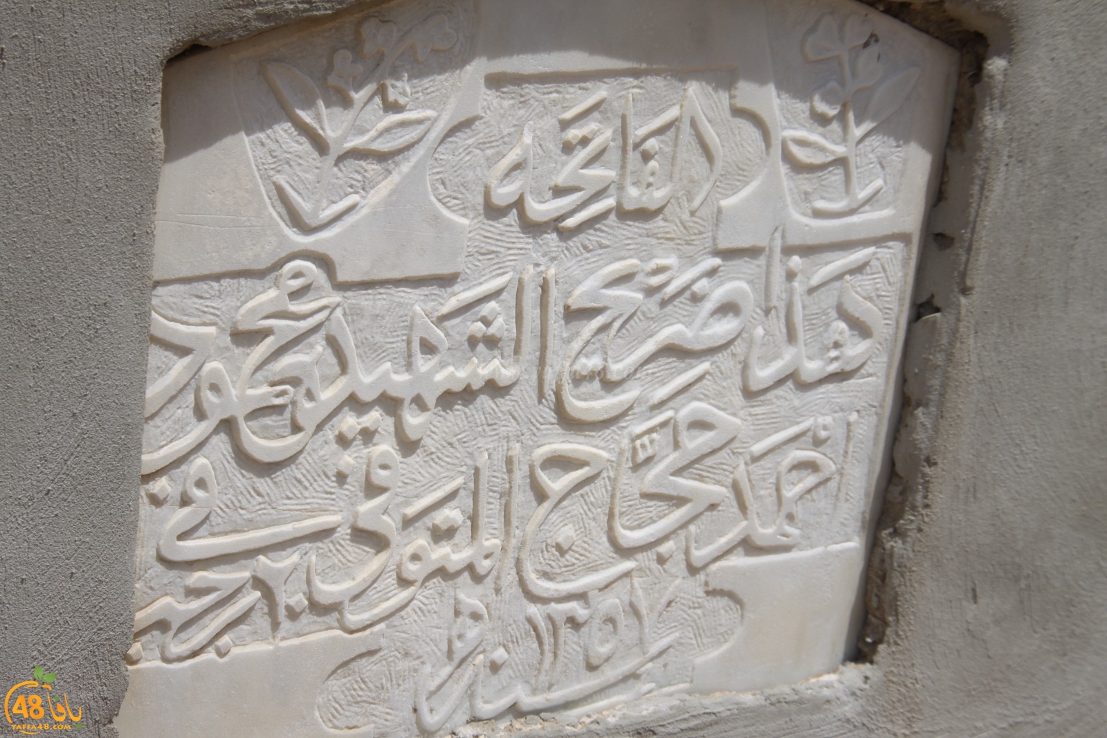 WhatsApp Image 2022-05-25 at 1.02.27 PM.jpg